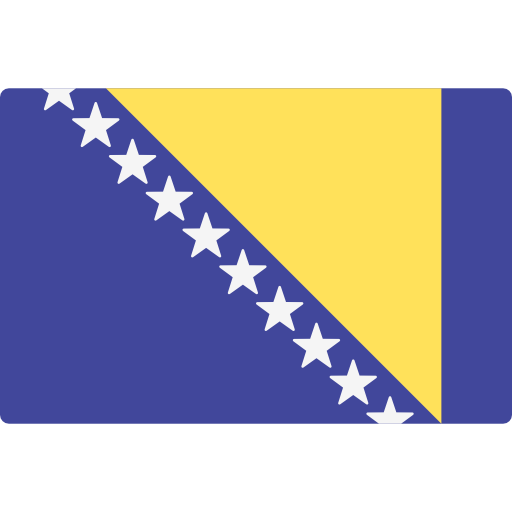 BiH Flag